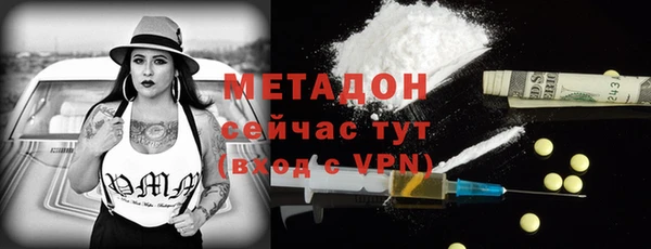 прущие грибы Верея