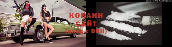 прущие грибы Верея