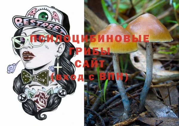 трава Заречный