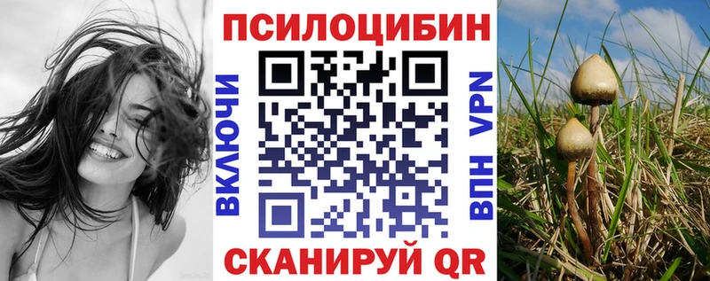 Галлюциногенные грибы MAGIC MUSHROOMS  Ермолино 
